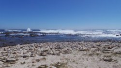 Cape of Good Hope06